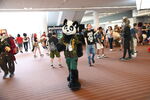 DSC_8805.JPG
